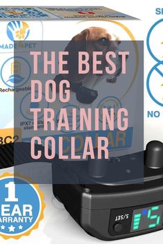 the best dog training collar is on display