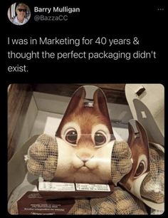 an image of a stuffed animal with the caption i was in marketing for 40 years & thought the perfect packaging didn't