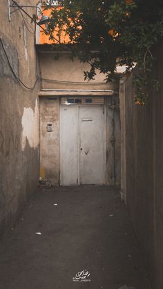 an alley way with a white door and tree