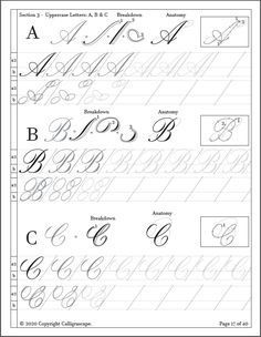 Fonts idea Lettering Abjad, Whimsical Lettering, Spencerian Script, English Handwriting, Learn Modern Calligraphy