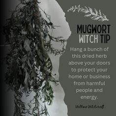 Mugwort Smudge Sticks, Mugwort Witchcraft, Magickal Tips, Gray Witch, Homes Styles, Witch Recipes, Celtic Witch, Hoodoo Magic, Flower Magic