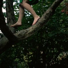 a young child climbing up a tree branch