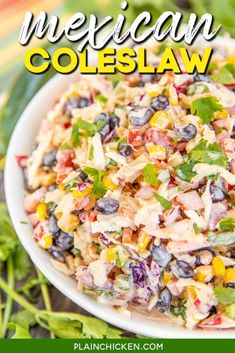 mexican coleslaw salad in a white bowl with the title overlay above it