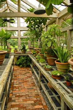 the inside of a greenhouse filled with lots of plants