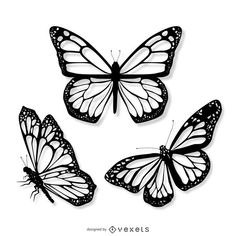 three butterflies with black and white wings