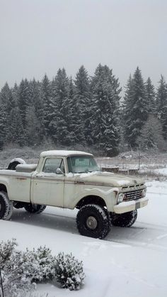 an old white truck is parked in the snow near some evergreens and pine trees