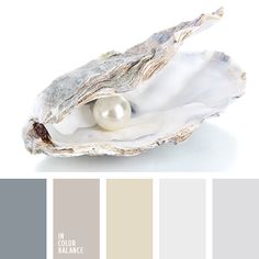 an oyster shell with pearls in it and color swatches on the bottom, along with other colors to choose from