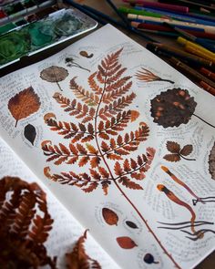 an open book with leaves on it and colored pencils next to it in the background