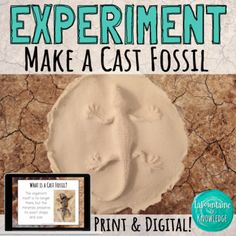 an image of a poster with the words experiment make a cast fossil in front of it