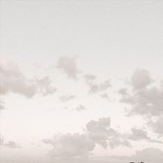 two cows are standing in the grass under a cloudy sky