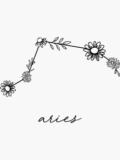 the word aris written in black ink with daisies on it