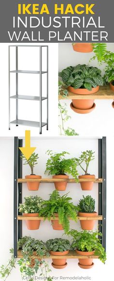 there are many potted plants on the shelves in this houseplant rack that is also used as a wall planter