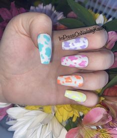 Cow Print Acrylic Nails, Pastel Cow Print, Nail Signs, Cow Print Nails, Nails Hand Painted, Cow Nails, Retro Nails, Spring Acrylic Nails, Punk Nails