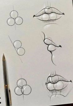 a drawing of different lips and noses