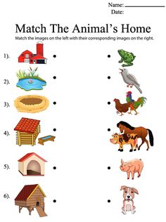 an animal's home worksheet for kids to learn how to read it