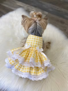 a small dog wearing a yellow and white dress