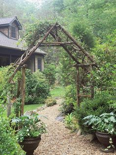 an outdoor garden area with potted plants and a pergolated arbor in the foreground