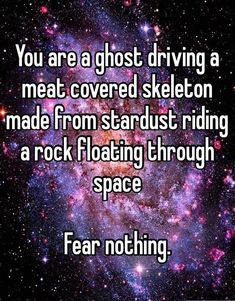 the words you are a ghost driving a meat covered skeleton made from stardust riding a rock floating through space