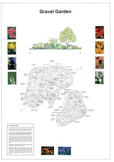 an image of a garden plan with flowers and plants in it, including the trees