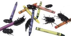 many different colored crayons are arranged in the shape of bugs and buggies