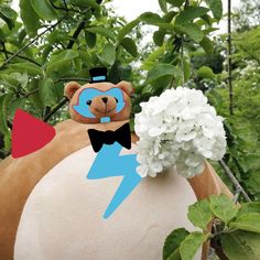 a teddy bear wearing a top hat and bow tie holding a bouquet of white flowers