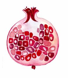 a watercolor painting of a pomegranate with red and pink squares on it