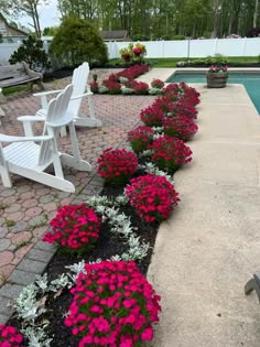 some chairs and flowers by the pool