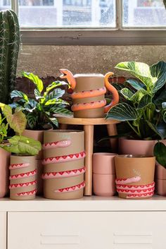 many potted plants on a shelf in front of a window