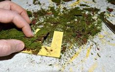 a person is cutting moss with a pair of scissors on a piece of yellow paper