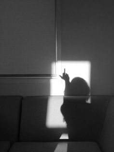 a black and white photo of a cat sitting on a couch in the sun with its shadow