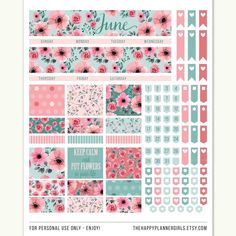 the printable planner sticker kit includes pink and blue flowers