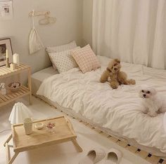 two small dogs sitting on a bed in a room with white walls and flooring