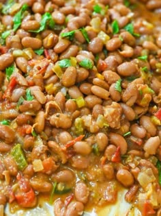 beans and vegetables are mixed together in a casserole dish, ready to be eaten