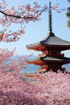 the pagoda is surrounded by blooming trees and cherry blossoms in full bloom, with mountains in the background