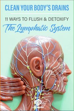 If you’re chronically ill or suffering from cellulite, you may need to detox your lymphatic system. Here are 11 tools to keep you on track. Clean Lymph System, How To Clear Your Lymph System, Parasite Cleanse Protocol, Drain Lymph System, Lymph Drainage Dry Brushing, Vascular Cleansing, How To Drain Lymph Nodes, A03 Link, Lymph Drainage Massage Face