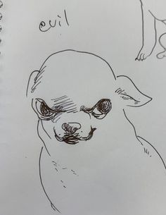 a drawing of a dog's face with the words ouu on it