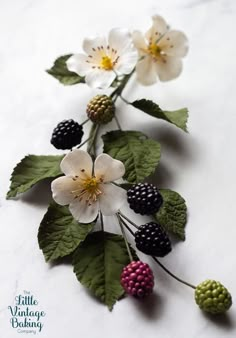 flowers and berries are arranged on a white surface