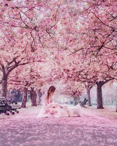 a woman sitting on the ground in front of some trees with pink flowers around her