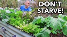 a man standing next to a garden filled with lettuce