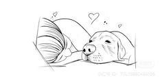 a black and white drawing of a dog sleeping