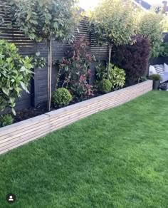 a garden with grass and plants growing on the side of a fenced in area