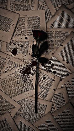 a single rose sitting on top of newspaper pages with blood splatters all over it