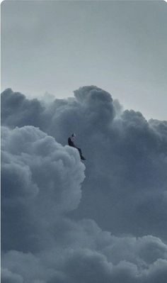 a bird is flying through the clouds on a cloudy day