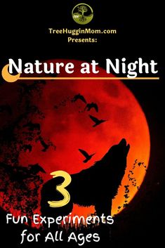 a wolf with the words nature at night 3 fun experiments for all ages