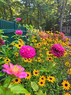 colorful flowers line the side of a green fence in a flower garden with trees and bushes