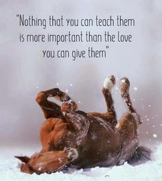 a brown horse laying on its back in the snow with a caption that reads nothing that you can teach them is more important than the love you can give them