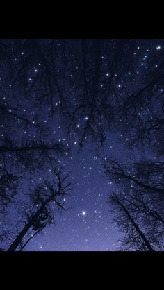 the night sky is filled with stars and trees