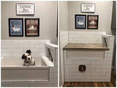 Dog Wash Station With Sink, Dog Grooming Station In Laundry Room, Sink And Dog Wash Combo, Mop Basin Dog Wash, Dog Wash Basin, Utility Sink Dog Wash Combo, Homemade Dog Wash Station, Small Dog Washing Station, Utility Room With Dog Wash