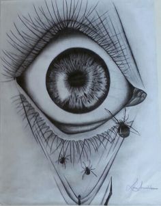 a pencil drawing of an eye with long eyelashes and spider webs on the outside of it