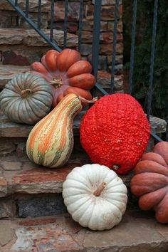 pumpkins and gourds are sitting on the steps